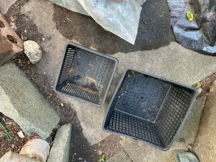 Photo of free 2x square pond plant pots (Liverpool 13 /Stoneycroft) #1