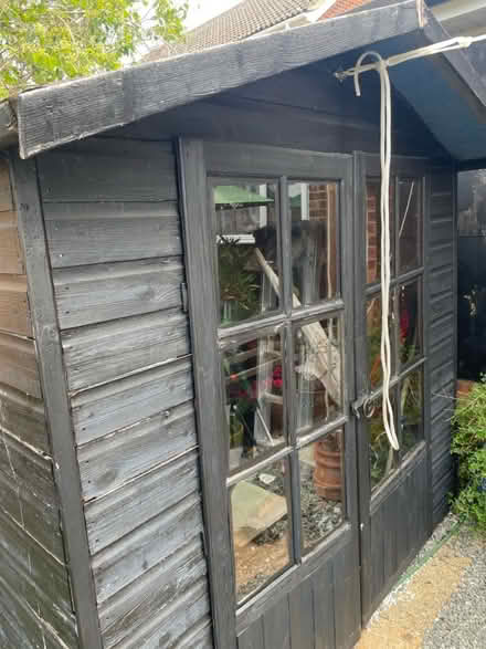 Photo of free She’d 5’ x 7’ (Chelmsford CM3) #1