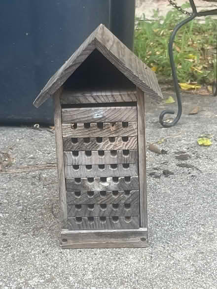 Photo of free Bee house (Off Bowen near Pioneer pkwy) #1