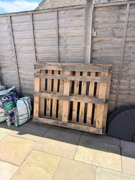 Photo of free Wooden pallet (Kempston) #1