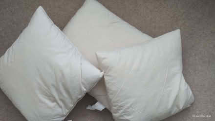 Photo of free Duck feather cushion inners. 35cm square (Henleaze BS9) #1