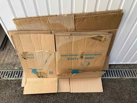 Photo of free Moving boxes (Thorney Leys OX28) #1