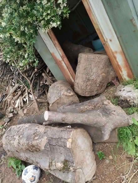 Photo of free Wood (Higher Croft BB2) #2