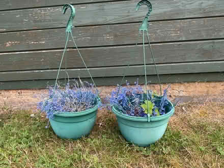 Photo of free Hanging baskets (Highfields Caldecote) #1