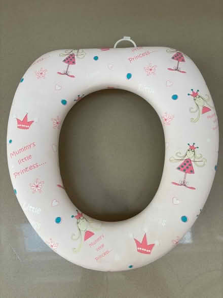 Photo of free Child’s toilet seat (Iffley Road OX4) #1