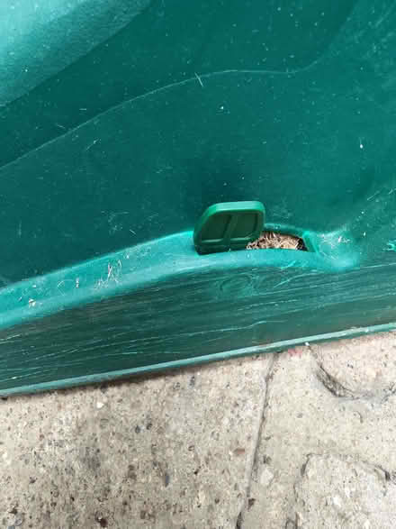 Photo of free Qualcast electric lawn mower (Dudden Hill NW10) #2