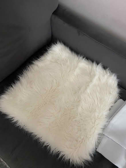 Photo of free Fluffy cushion cover (Coleridge Ward CB1) #1