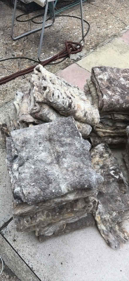 Photo of free raw lamb's wool (Brockley SE4) #1