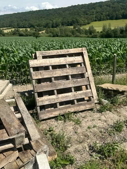 Photo of free 9x wood pallets (Church stretton) #2