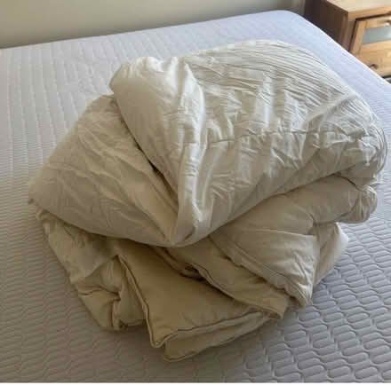 Photo of free King feather duvet and cover (Borough, SE1) #1