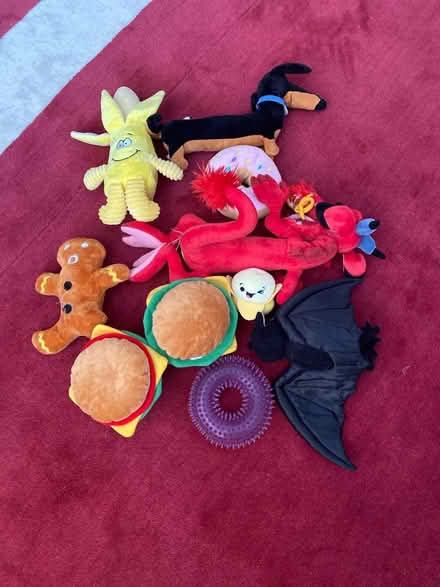 Photo of free Selection of dog toys (Crawley RH11) #1