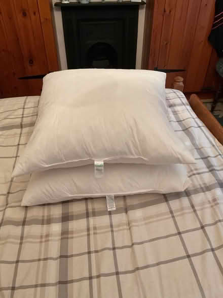 Photo of free Two very large feather square cushions size 67cm x 67 cm (Cherry Orchard SY2) #1