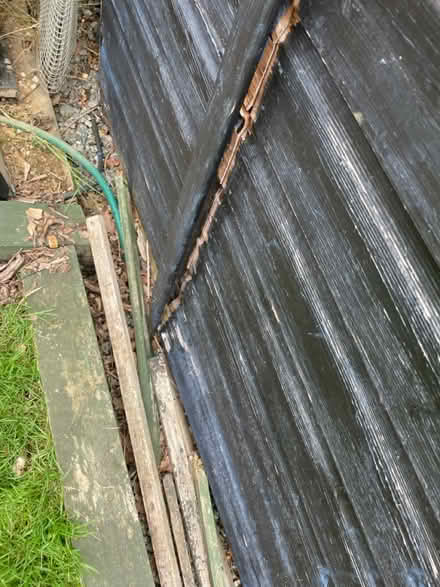 Photo of free She’d 5’ x 7’ (Chelmsford CM3) #3