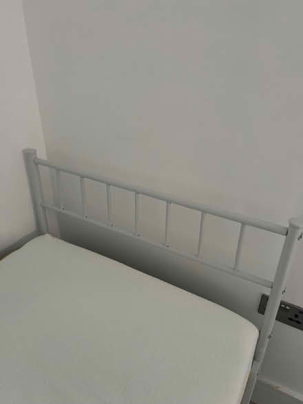 Photo of free single bed with frame (TW7 7BN) #3
