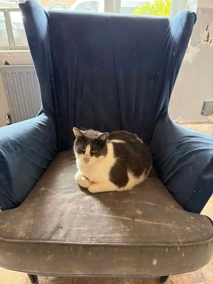 Photo of free Chair (B37 6DN) #2