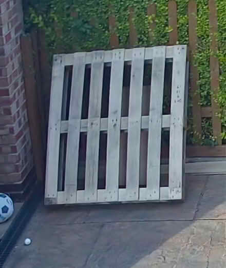Photo of free Wood pallet (Attenborough NG9) #1