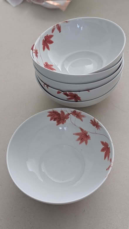 Photo of free Full dinnerware set (Catford SE6) #1