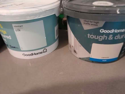 Photo of free Paint (North Hinksey OX2) #1
