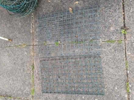 Photo of free Wire mesh panels (Blossomfield B91) #2