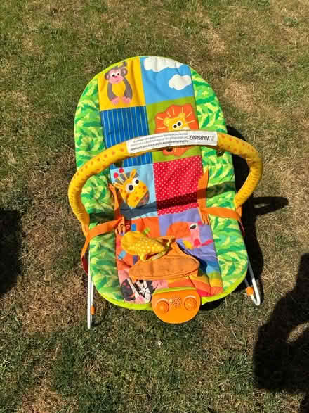 Photo of free Baby bouncer (Driffield East Yorkshire) #1