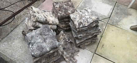 Photo of free raw lamb's wool (Brockley SE4) #2