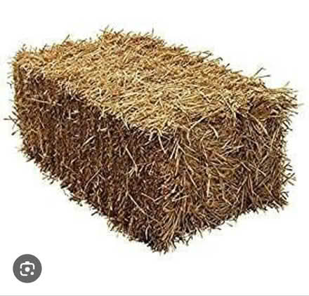 Photo of Straw bale or straw (Croydon) #2