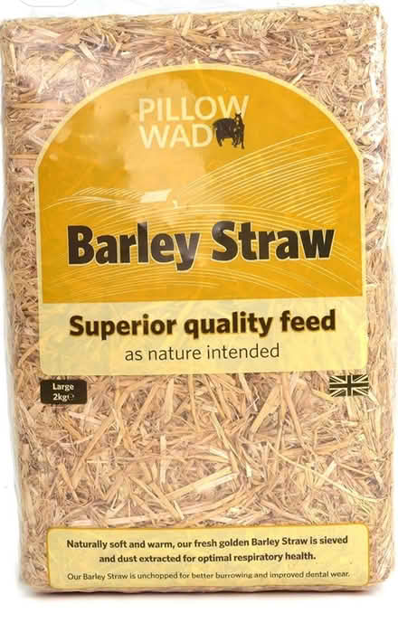 Photo of Straw bale or straw (Croydon) #1