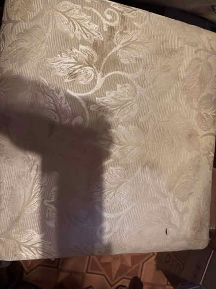 Photo of free 4 dining chairs 1carver (Oldland Common BS30) #3