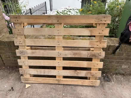 Photo of free Pallet (N1) #1