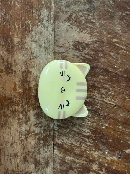 Photo of free Kitty pocket mirror (Belmont) #1
