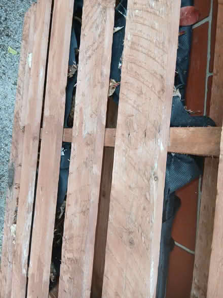 Photo of free Pallet planter (Chorley PR7) #1