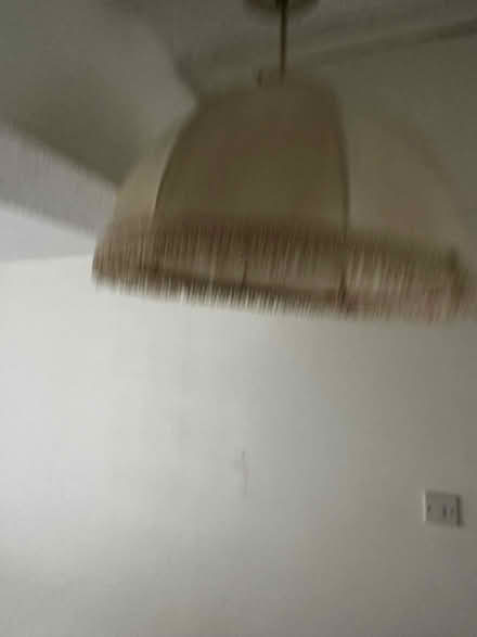 Photo of free Lampshades (SL0 0pt) #2