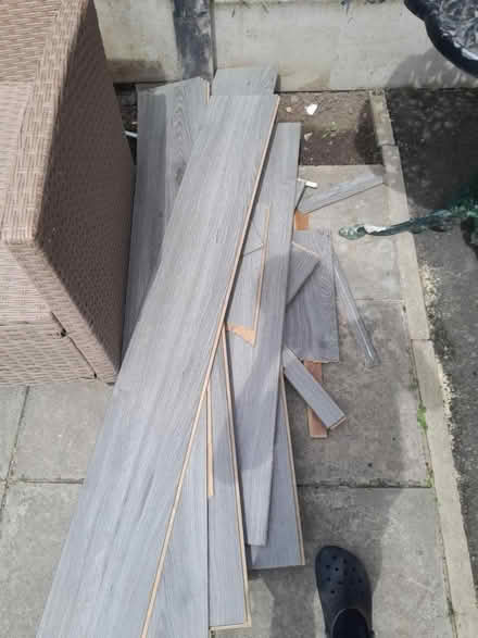 Photo of free laminated (Wythenshawe M22) #3