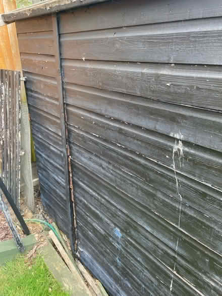 Photo of free She’d 5’ x 7’ (Chelmsford CM3) #2
