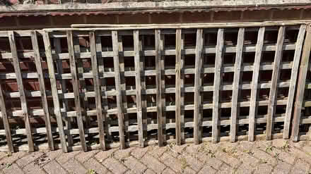 Photo of free Lattice fence panels (Spondon DE21) #3