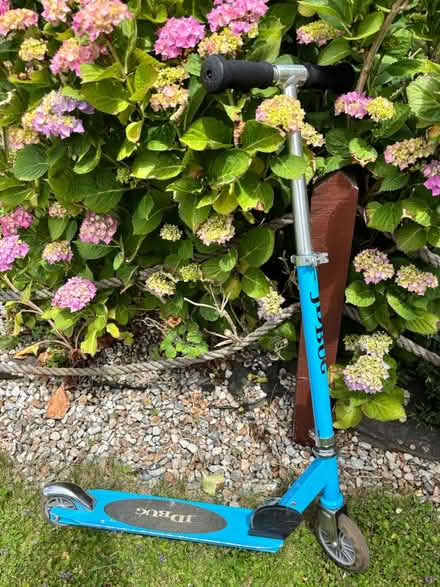 Photo of free Kids scooter (Westhouses, Alfreton, DE55) #1