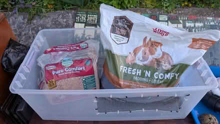 Photo of free Curbside items - 428 Westmount Ave (Rogers Road and Westmount) #4