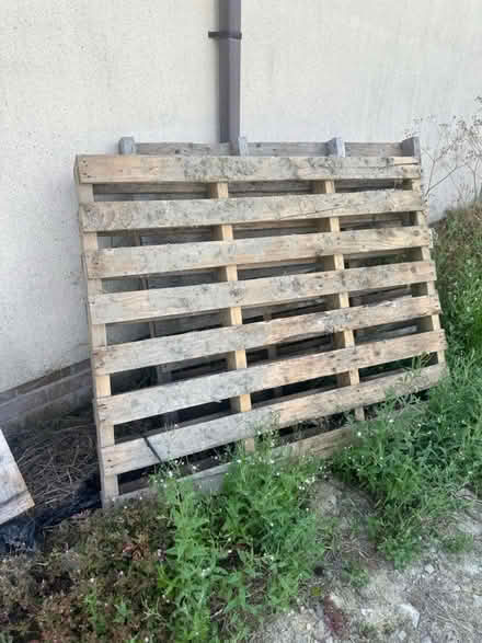 Photo of free 9x wood pallets (Church stretton) #4