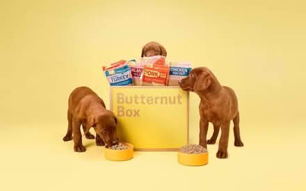 Photo of free Frozen dog food - Butternut Box (Oxford OX4) #1