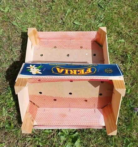 Photo of free 2 fruit boxes (East Kilbride G74) #3