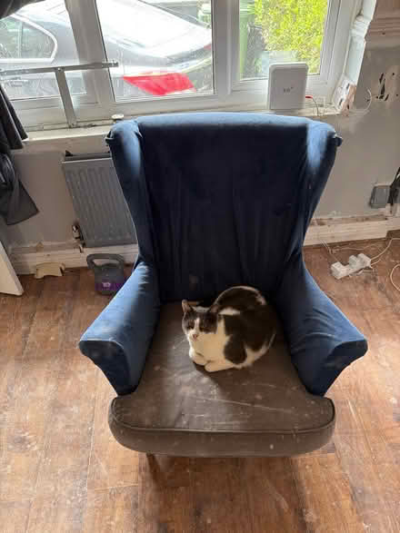 Photo of free Chair (B37 6DN) #1