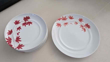 Photo of free Dinnerware set (Catford SE6) #1