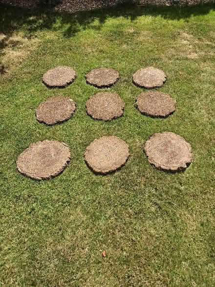 Photo of free Stepping stones (Westbrook WA5) #2