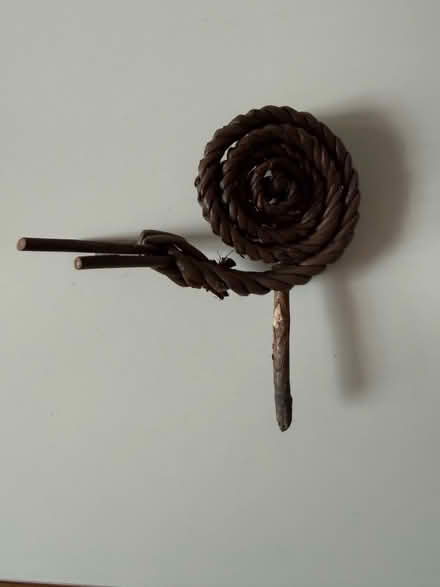 Photo of free Small snail for indoor plant pots (Salford M30) #1