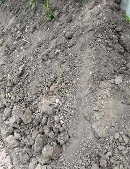 Photo of free Mixed soil (Epsom KT17) #2