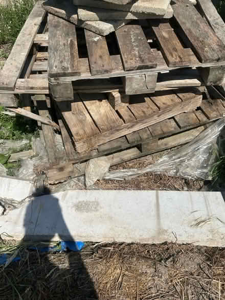 Photo of free 9x wood pallets (Church stretton) #3