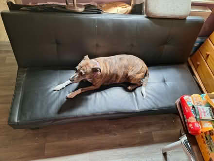 Photo of free 2 recliner chairs and a sofa bed (ME4) #3