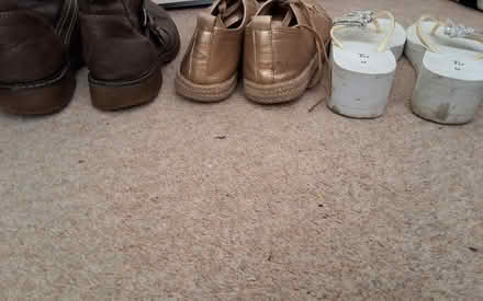 Photo of free 3 pairs of shoes, size 7 (South Acton) #3