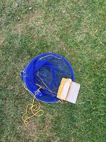 Photo of free Crab net (Ware SG12) #1
