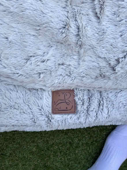 Photo of free Dog bed (Gu20) #3